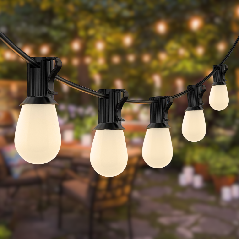 HOLIDAY STRING 1000 2.png